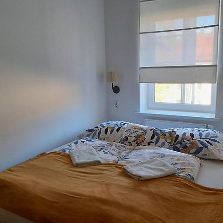 Apartment Riegerovka Cheb Εξωτερικό φωτογραφία