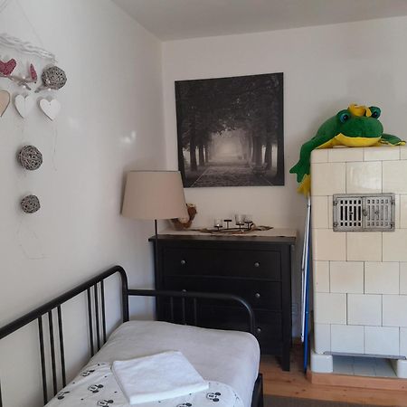 Apartment Riegerovka Cheb Εξωτερικό φωτογραφία