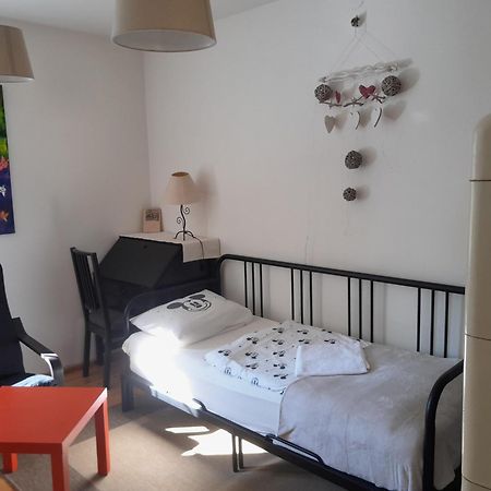 Apartment Riegerovka Cheb Εξωτερικό φωτογραφία