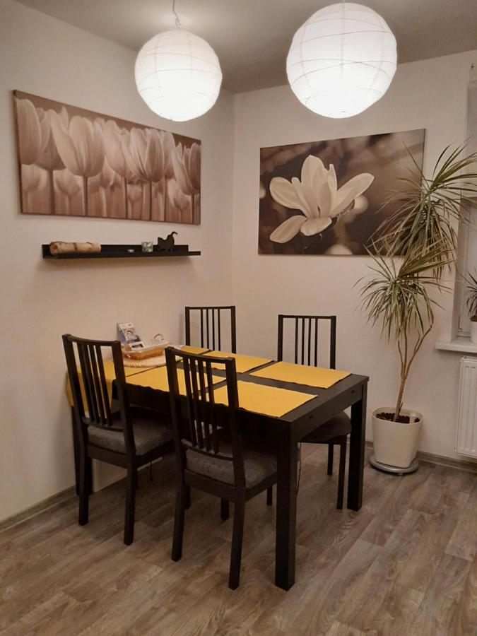 Apartment Riegerovka Cheb Εξωτερικό φωτογραφία