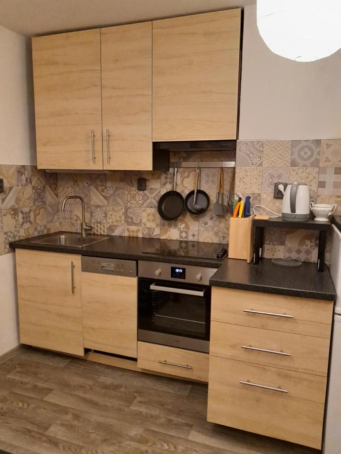 Apartment Riegerovka Cheb Εξωτερικό φωτογραφία