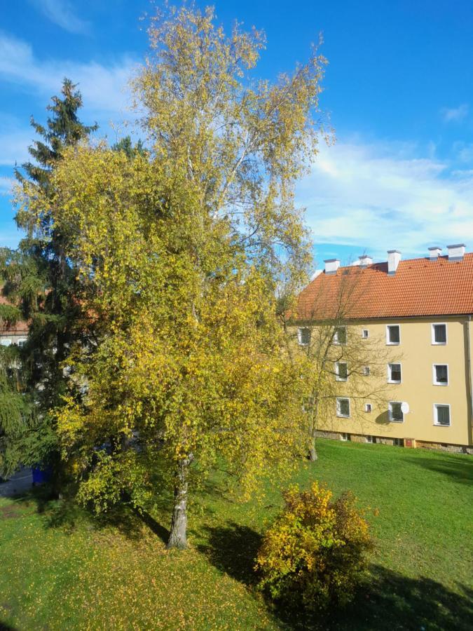 Apartment Riegerovka Cheb Εξωτερικό φωτογραφία