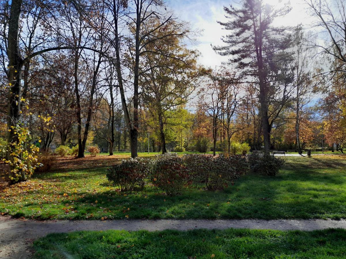 Apartment Riegerovka Cheb Εξωτερικό φωτογραφία