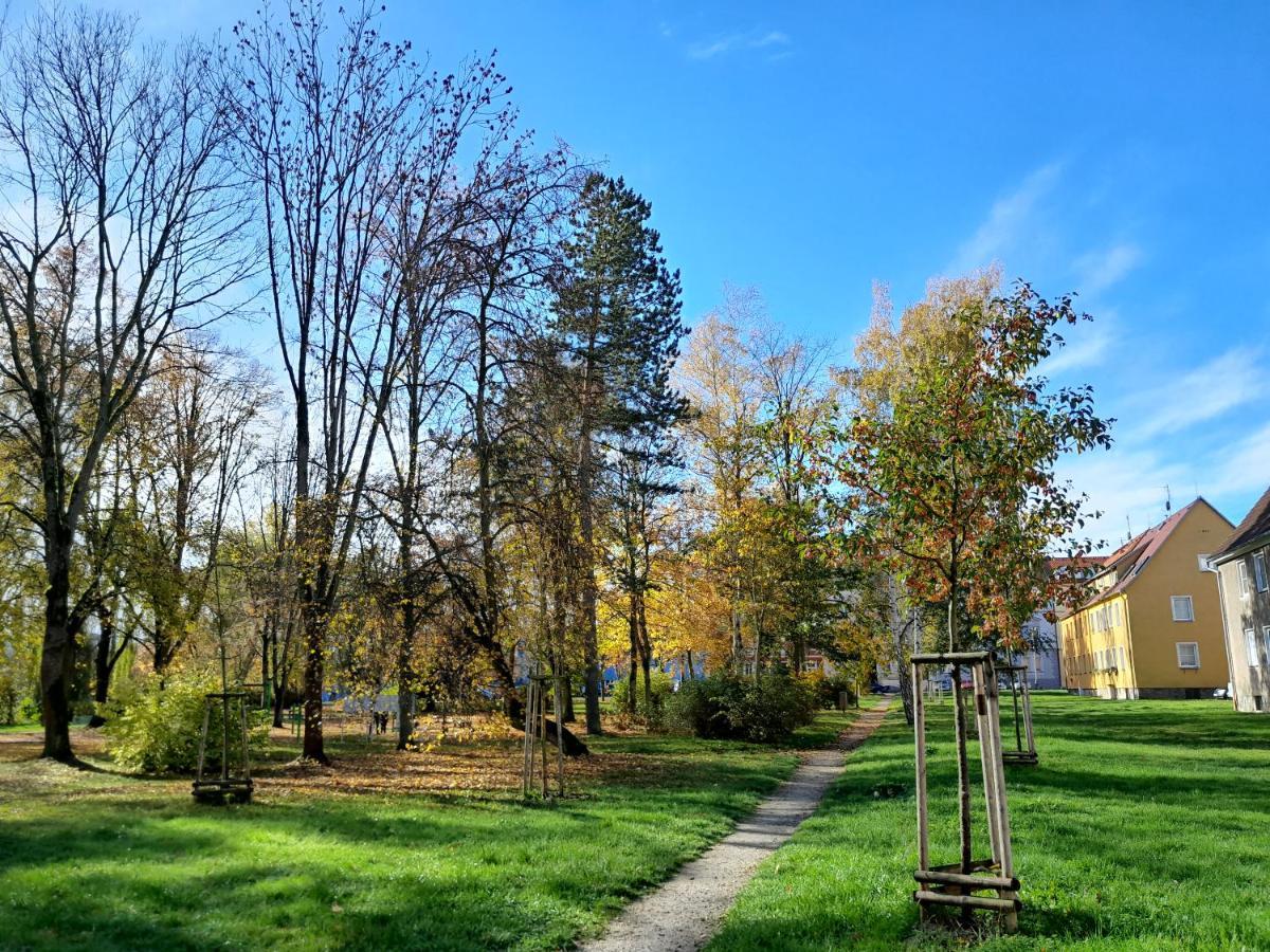Apartment Riegerovka Cheb Εξωτερικό φωτογραφία