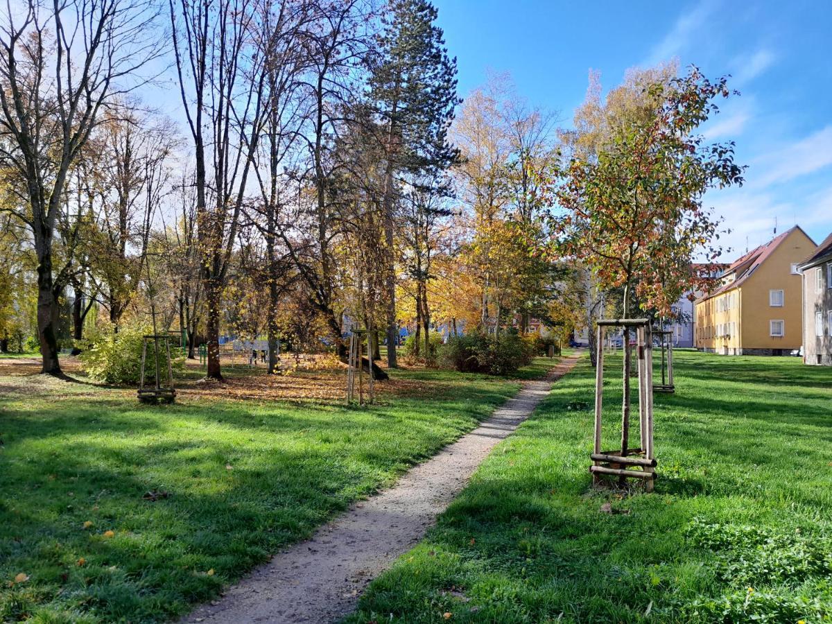 Apartment Riegerovka Cheb Εξωτερικό φωτογραφία