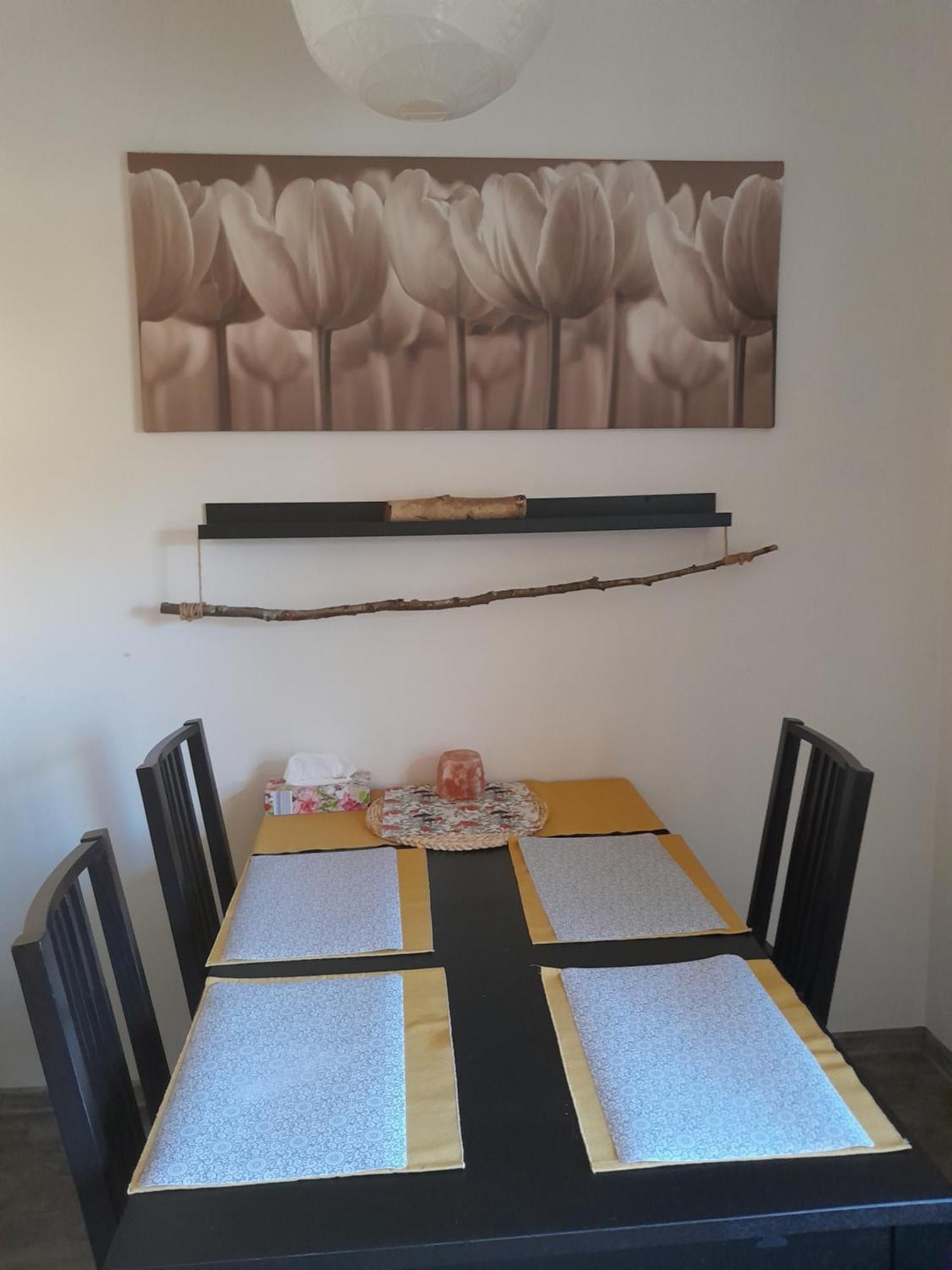 Apartment Riegerovka Cheb Εξωτερικό φωτογραφία