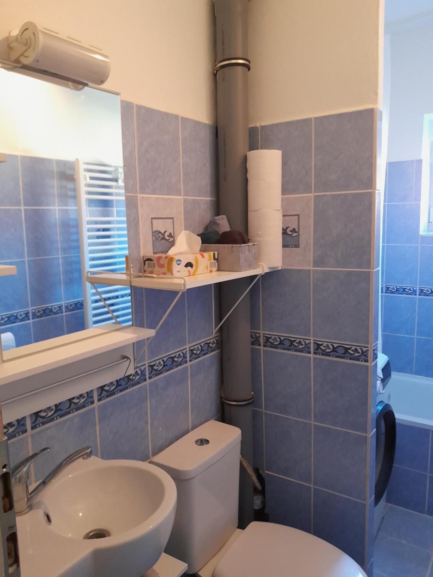 Apartment Riegerovka Cheb Εξωτερικό φωτογραφία
