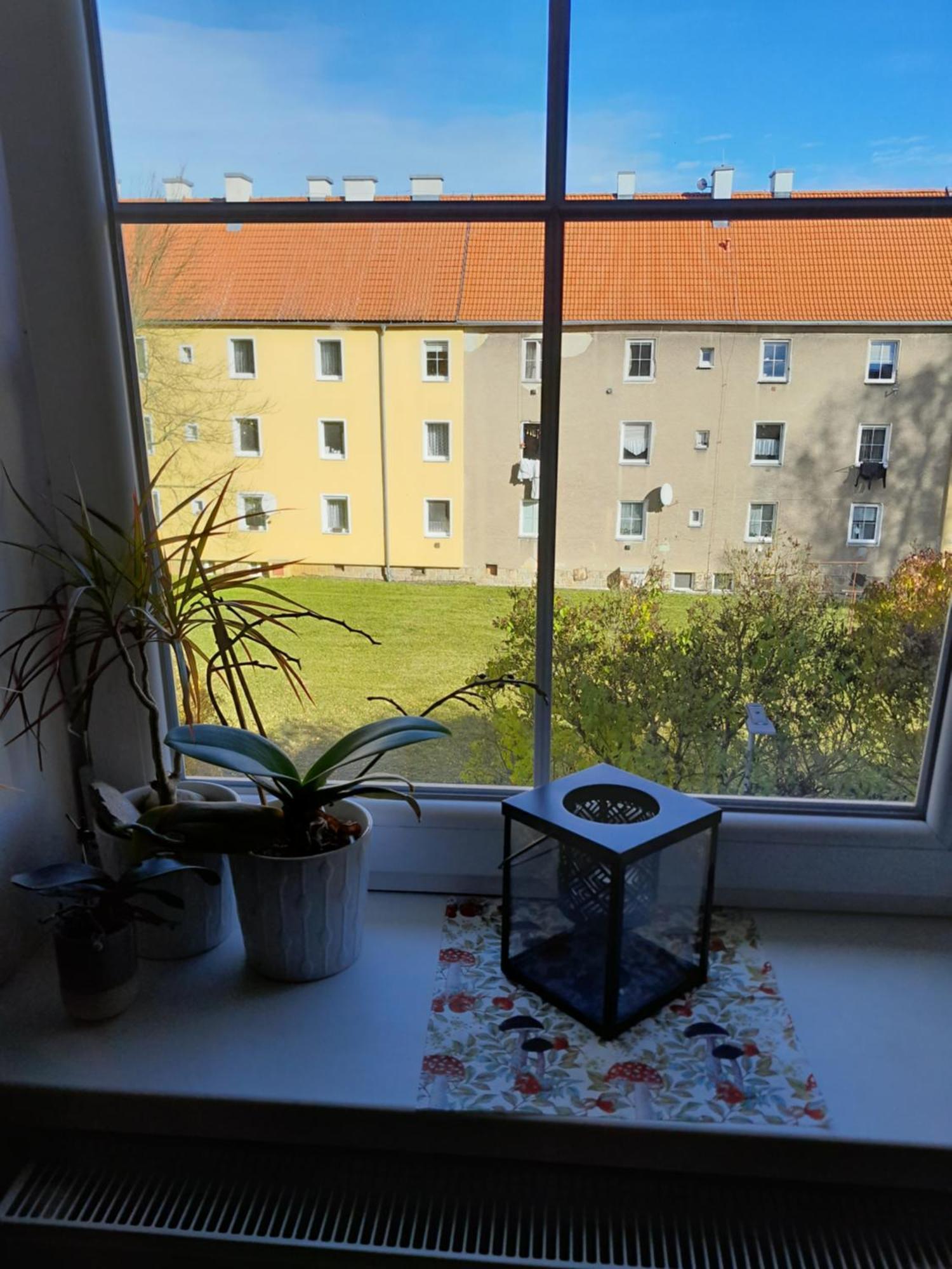 Apartment Riegerovka Cheb Εξωτερικό φωτογραφία