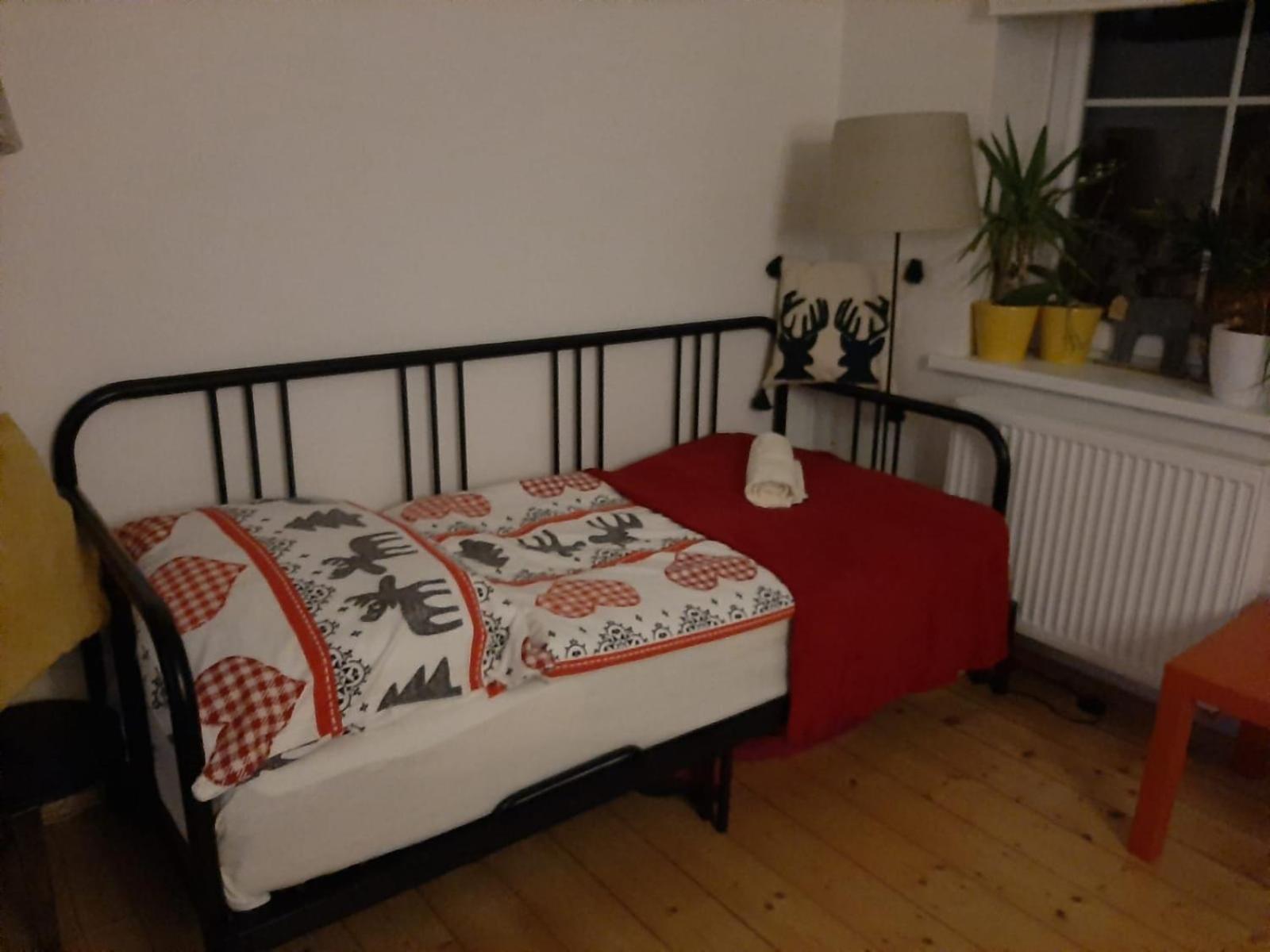 Apartment Riegerovka Cheb Εξωτερικό φωτογραφία